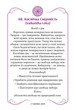Игра Лила комплект. Поле "Крылья Свободы" 70х50 см. Габардин. На украинском языке. Плюс подарок: видеокурс «Обучение игре Лила» - изображение 10