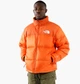 Пуховик The North Face 1996 Retro Nuptse Jacket Orange NF0A3C8D19N XL - изображение 1