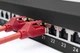 Патч-панель DIGITUS CАТ 6А STP, 19", 1U, 24 порти, зібрана, чорна - изображение 6