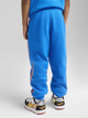 Spodnie dresowe chłopięce Puma x Hot Wheels Sweatpants Tr 63007258 110 cm Niebieskie (4067983573477) - obraz 2