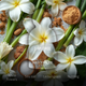 Набір мініатюр для жінок Bibliotheque de Parfum Discovery Парфумована вода I Am Free 2 мл + I Am Loved 2 мл + I Am Daring 2 мл + I Am Tender 2 мл + I Am Worthy 2 мл + I Am A Dreamer 2 мл + I Am Sensual 2 мл + I Am A Winner 2 мл (4820271430728) - зображення 3