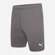 Спортивные шорты мужские Puma teamRISE Short 704942-13 2XL Серые (4063699212013) - изображение 3