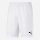 Спортивные шорты мужские Puma teamGoal 23 knit Shorts 704262-04 L Белые (4062451180645) - изображение 1