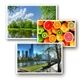 Фотобумага ColorWay A4 230г Glossy 50c (PG230050A4) - изображение 4