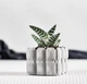 Бетонное кашпо для кактусов и суккулентов (Серый) GREYMIX Concrete Art - изображение 4