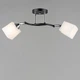 Люстра потолочная Light House SR-20291/2 BK+CR L570*W140*H220 E27 черная + хром, плафон белый - изображение 3