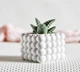 Бетонное кашпо горшок для кактусов и суккулентов (Белое) GREYMIX Concrete Art - изображение 2
