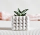 Бетонное кашпо горшок для кактусов и суккулентов (Белое) GREYMIX Concrete Art - изображение 4