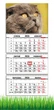 Календарь настенный квартальный на 2026 год на три пружины, Apriori , Кот Британец ,Британский вислоухий кот, Котик, Кот , 29,7х61см - изображение 1