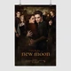 Постер Сумерки. Сага:Новолуние. , Twilight Saga: New Moon (2009), A3 42×28 см (id6872) - изображение 1