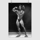 Постер Френк Зейн, бодібілдер, Frank Zane, A2 60×40 см (id6193) - зображення 1