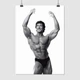 Постер Френк Зейн, бодібілдер, Frank Zane, A2 60×43 см (id6192) - зображення 1