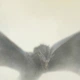 Постер Тирион Ланнистер на корабле, дракон, GoT, Game of Thrones, A3 42×30 см (id4182) - изображение 2