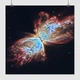 Постер Туманность Бабочка, NGC 6302, Butterfly Nebula, A3 30×30 см (id6387) - изображение 1
