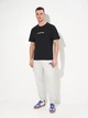 Спортивные штаны утепленные мужские Puma Essentials Graphics 68818204 XL Light Gray Heather (4069156535251) - изображение 3