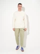 Спортивные штаны утепленные мужские Puma Essentials Graphics 68818282 XL Lux Army (4069156535794) - изображение 3