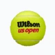 Теннисный мяч Wilson Us Open 4-Ball Green WRT116200 MISC - изображение 3