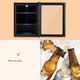Холодильник для напитков Beersafe XL со стеклянной дверцей 60л (10027672) - изображение 4