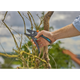 Секатор Gardena PremiumCut Pro dry wood с наковаленкой 24 мм (12250-20.000.00) - изображение 6