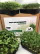 Набір для вирощування мікрозелені Panda microgreen на 14 врожаїв (ТОП 10 видів культур) - изображение 1