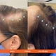 Revita Shampoo суперактивный шампунь от выпадения и для роста волос, 205мл, DS Laboratories - изображение 6