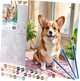 Malowanie po numerach Massido Piesek Corgi 40x50 cm (5903890623821) - obraz 1