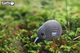 Model 3D do składania Eugy Zoo Kiwi (9421035150002) - obraz 6