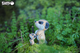 Model 3D do składania Eugy Zoo Surykatka (9421035150446) - obraz 10