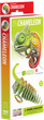 Model 3D do składania Eugy Zoo Kameleon (9421035150743) - obraz 7