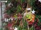 Model 3D do składania Eugy Zoo Kameleon (9421035150743) - obraz 15