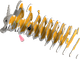 Model 3D do składania Eugy Zoo Welsh Corgi (9421035150828) - obraz 3