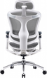 Fotel biurowy SIHOO DORO C300 Pro Mesh White (DORO-C300-PRO-M102) - obraz 2