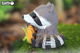 Model 3D do składania Eugy Zoo Szop pracz (9421036940244) - obraz 9