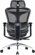 Крісло офісне SIHOO DORO C300L Mesh Black (DORO-C300L-A3-101) - зображення 2