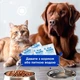 Пробиотик Modes Kombiflor Probiotic Порошок для поддержания микрофлоры кишечника собак и кошек 15шт*2г - изображение 7