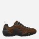 Чоловічі черевики для трекінгу Merrell Intercept J598633 47 (12UK) 30.5 см Коричневі (886129856557) - зображення 1