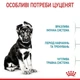 Сухой корм Royal Canin MAXI PUPPY для щенков собак крупных пород 1 кг - изображение 4