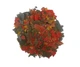 Корм AquariaLand Tropical Fish Flakes 100 г, хлопья для всех декоративных рыб - изображение 2