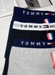 Набір чоловічих трусів Tommy Hilfiger 3 шт боксери 3XL 52 розмір Комбінований - зображення 2