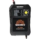 Зарядний пристрій Vitals DS 1206A - зображення 7