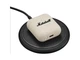 Навушники з мікрофоном Marshall Minor IV Cream (1007875) - изображение 6