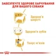 Корм для взрослых собак породы Пудель ROYAL CANIN POODLE ADULT 0.5 кг - изображение 5