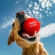 Игрушка для собак WAUDOG Fun Red Ball, сверхлегкий и чрезвычайно прочный, вспененный термопластичный полиуретан, 70 мм - изображение 1