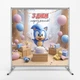 Баннер для фотозоны «Соник» | Фотозона на день рождения | 120x120см, №44252 - изображение 2