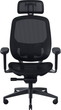 Fotel gamingowy Razer Fujin Pro Black (RZ38-04940100-R3G1) - obraz 1