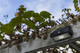 Kinkiet solarny z czujnikiem Lutec Arrow LED 2.3W 5000K 180lm IP44 (6939412046402) - obraz 6