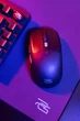 Беспроводная игровая мышь Proove Gaming Everon 2.4G, 6 кнопок, 10000DPI, 500 мАч black - изображение 5
