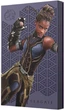 Жесткий диск Seagate Shuri Gaming 2TB STLX2000402 2.5" USB 3.0 External - изображение 1