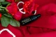 Миниатюра Концентрат феромонов для женщин PheroStrong Fragrance Free Concentrate Безароматный 7.5 мл (5905669259361) - изображение 6
