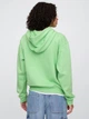 Худи утепленное на флисе оверсайз женское GAP 926613943 L Зеленое (1159842325) - изображение 2